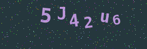 Validation image
